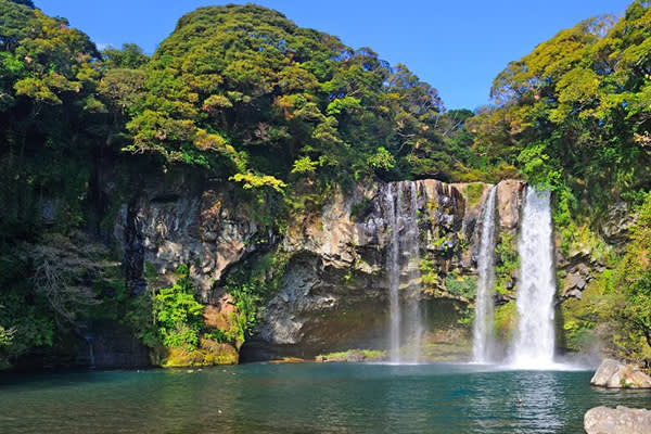 [济州]济州岛3大瀑布巡游+偶来徒步旅行