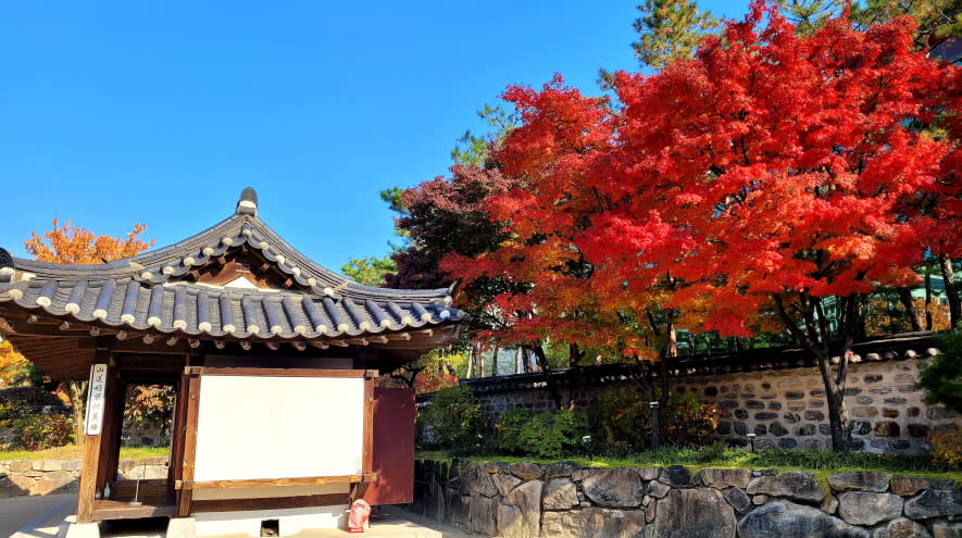 [首尔] 全日饮食&城市游（景福宫+广场市场+南山韩屋村+N首尔塔