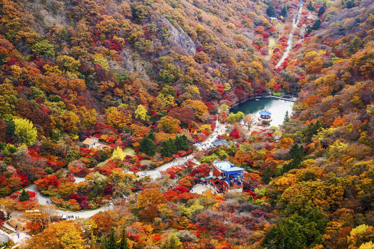 [From Seoul] Naejangsan National Park Autumn Foliage Day Tour