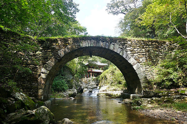 [釜山発]南道地方「順天」観光名所日帰りツアー「 順天湾湿地＋楽安邑城民俗村＋仙岩寺＋松広寺 」