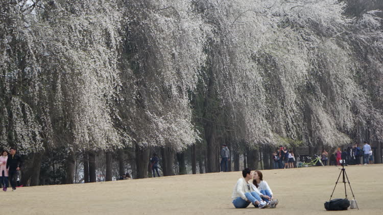 [南怡島]南怡島往復シャトルバス