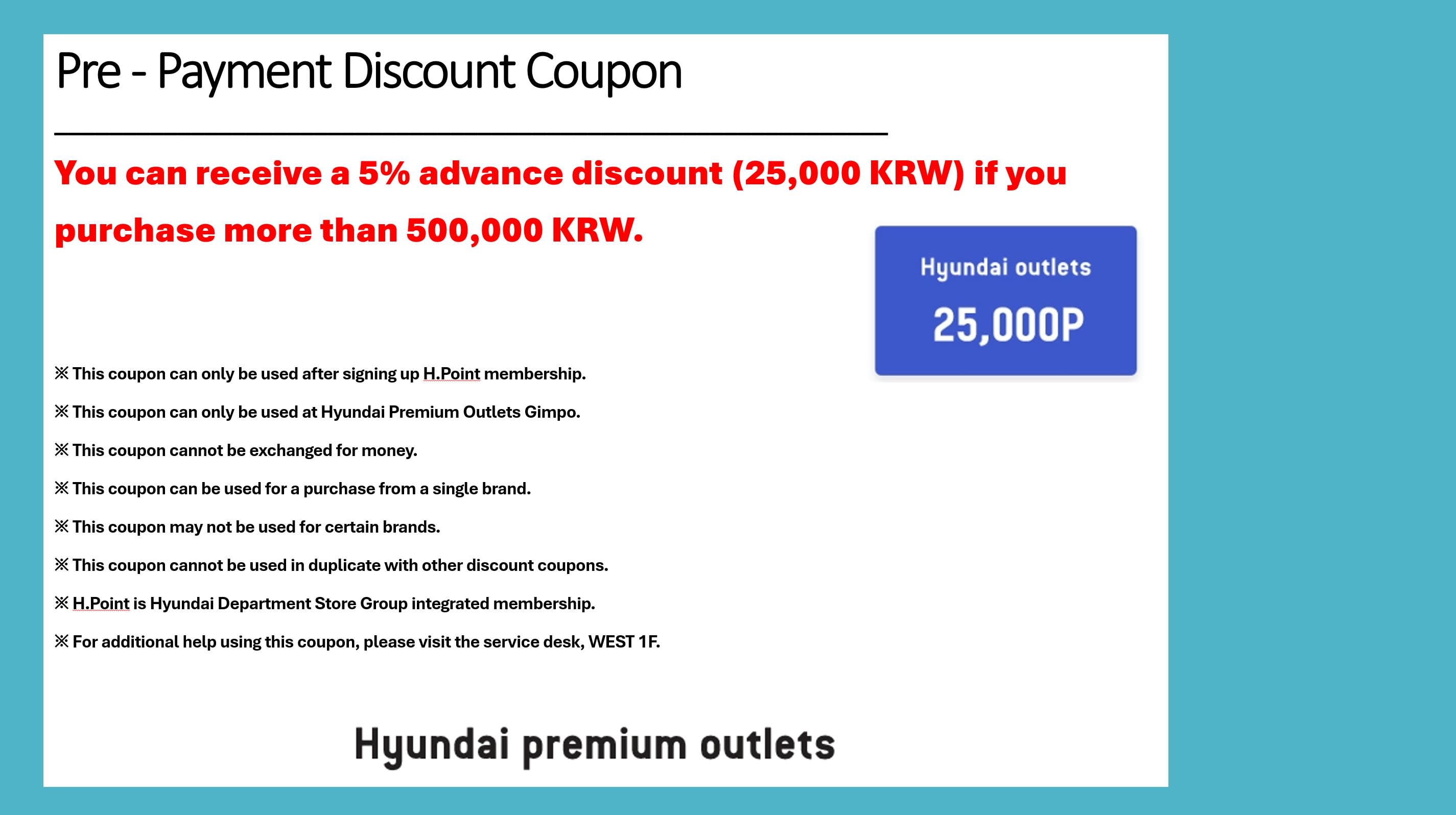 Hyundai Premium Outlet Gimpo + Fireworks Cruise Private Day Tour