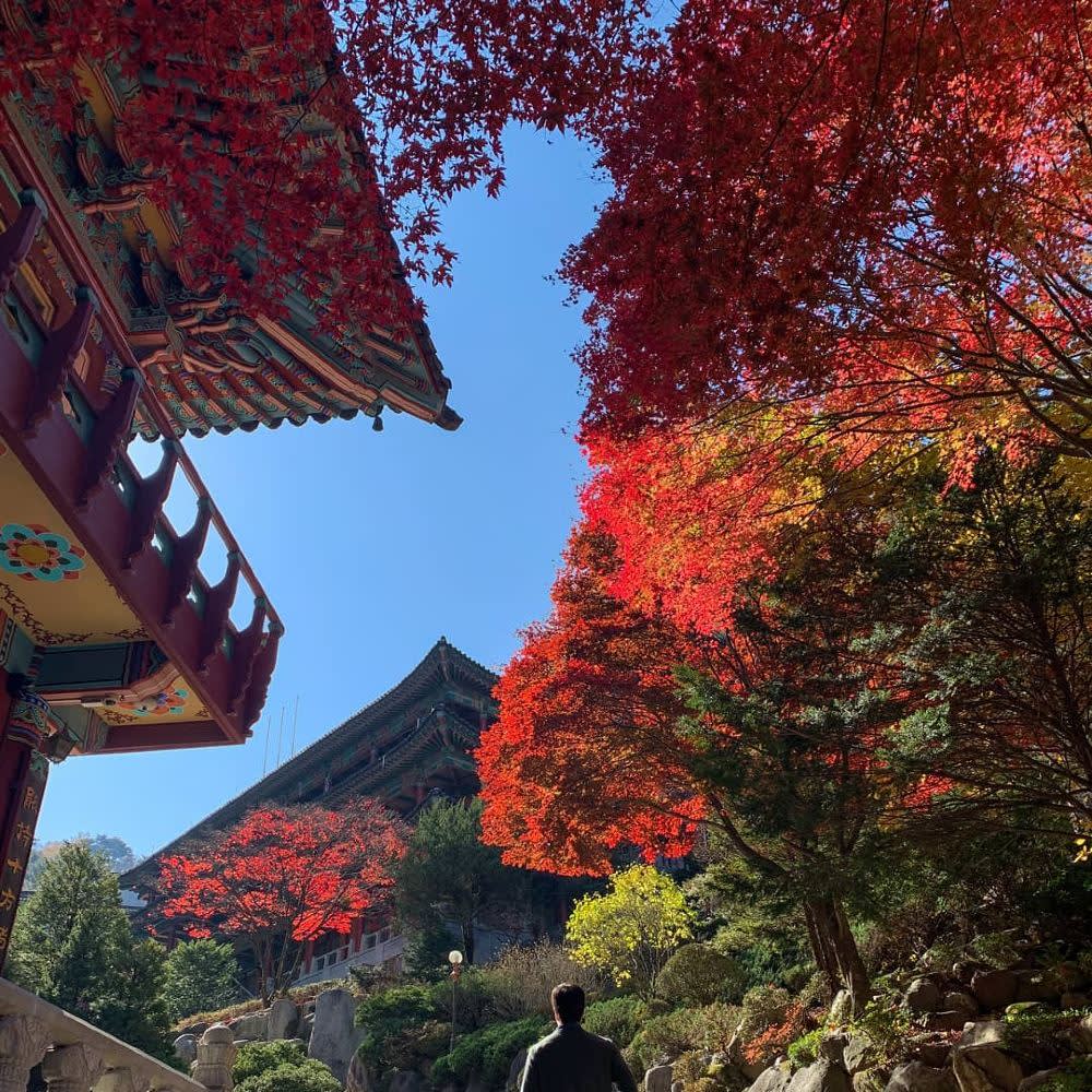 [忠清道] 救仁寺＋温達洞窟＋島潭三峰 1日ツアー