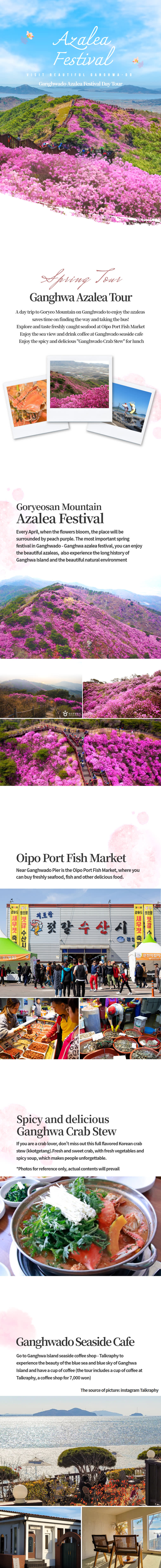 Ganghwado Azalea Festival Day Tour