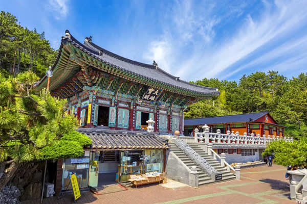 釜山グルメ「カニ」＆龍宮寺・新世界センタムシティー欲張り１日ツアー