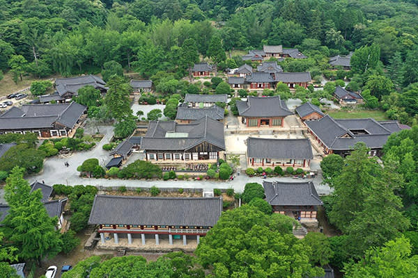 [釜山発]南道地方「順天」観光名所日帰りツアー「 順天湾湿地＋楽安邑城民俗村＋仙岩寺＋松広寺 」