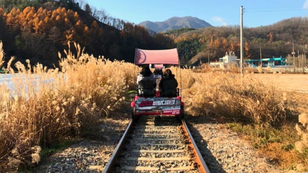[From Seoul] Nami Island + Alpaca World + Gangchon Rail Park Tour