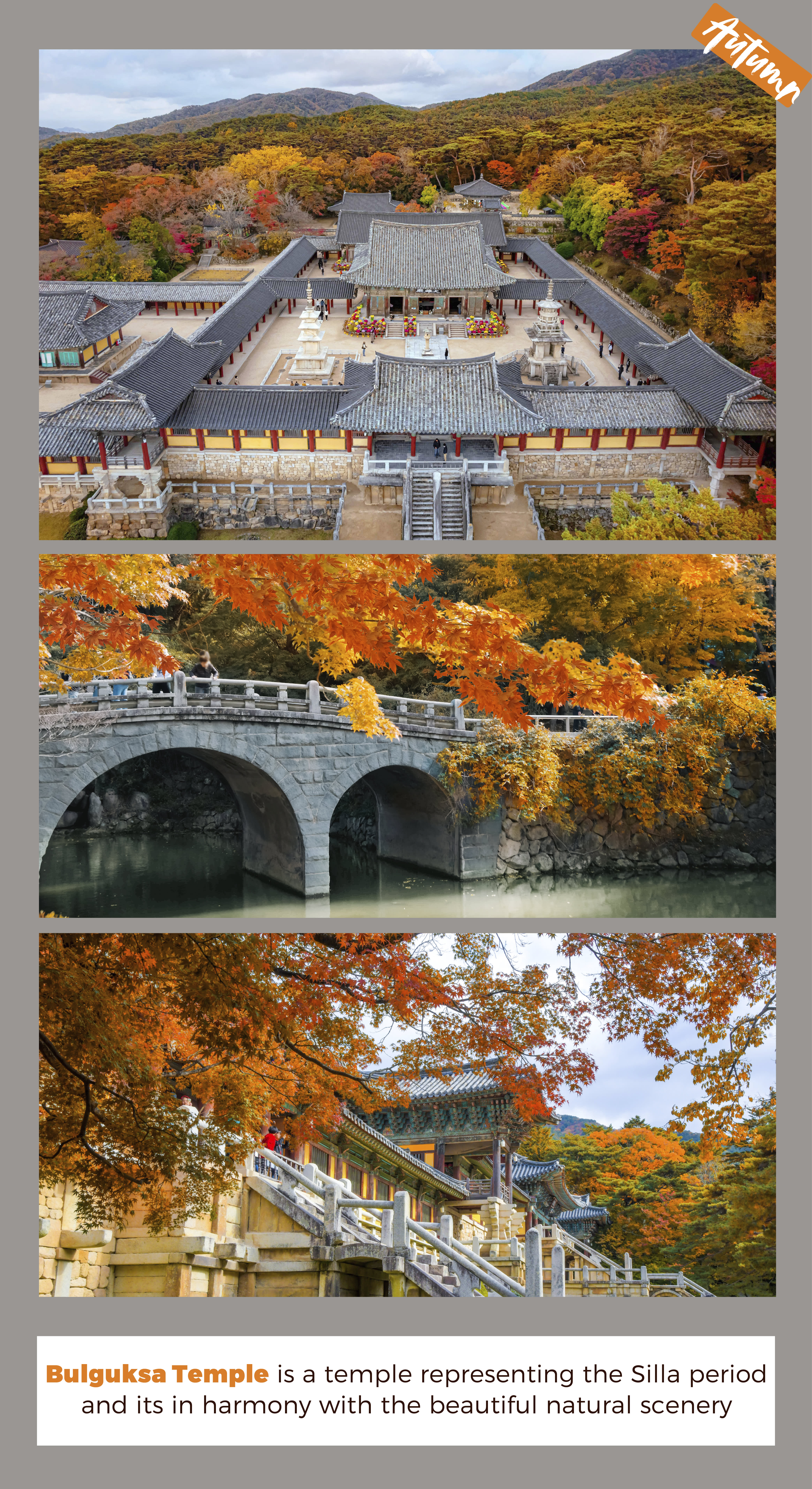 Gyeongju The Old Capital of Korea One Day Tour from Busan