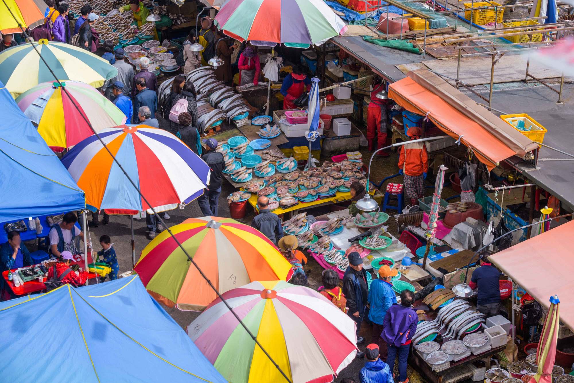 [Busan Essential] Coastal Views, Local Markets & Culture 1-Day Tour
