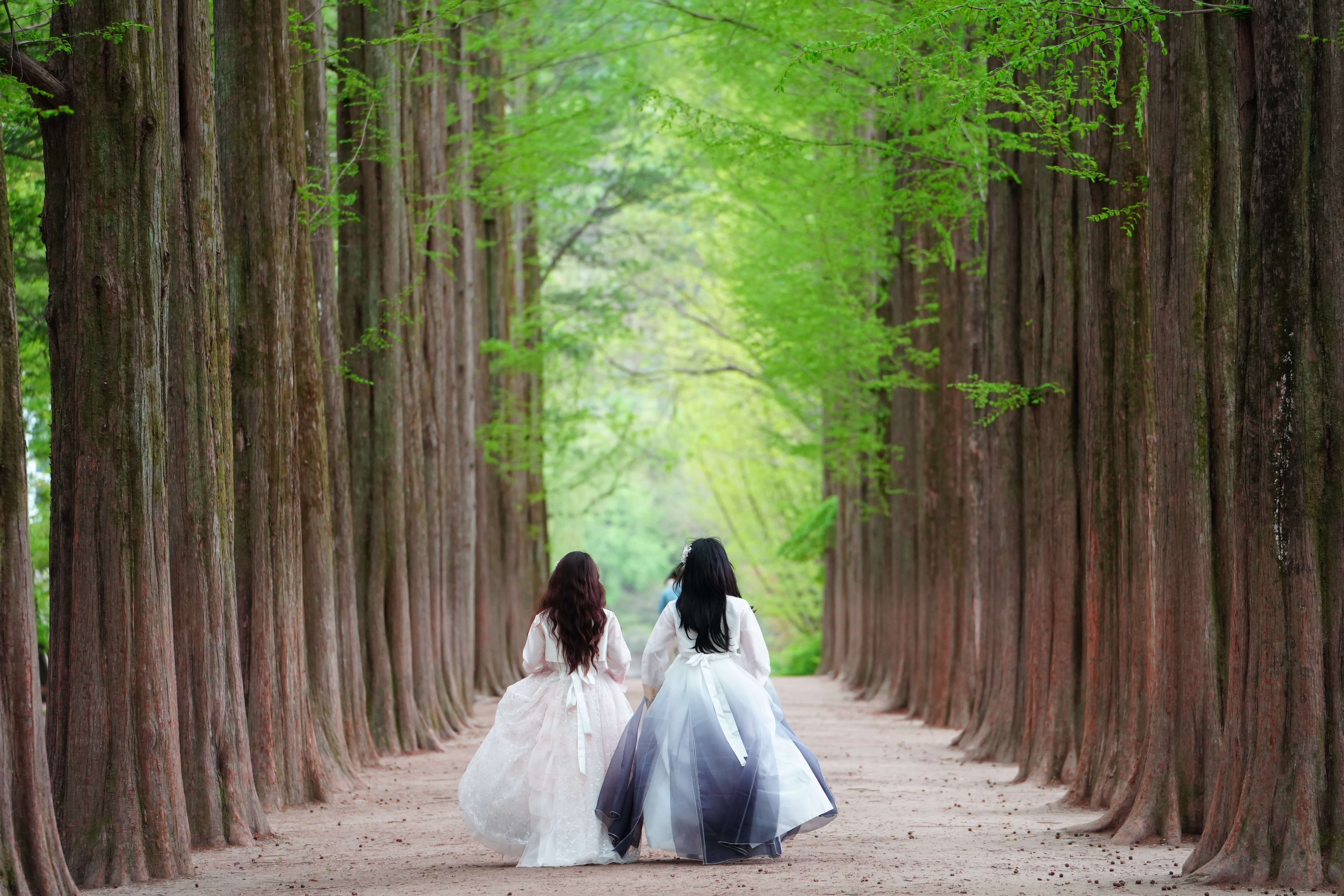 Nami Island + Hanbok Experience + Alpaca World