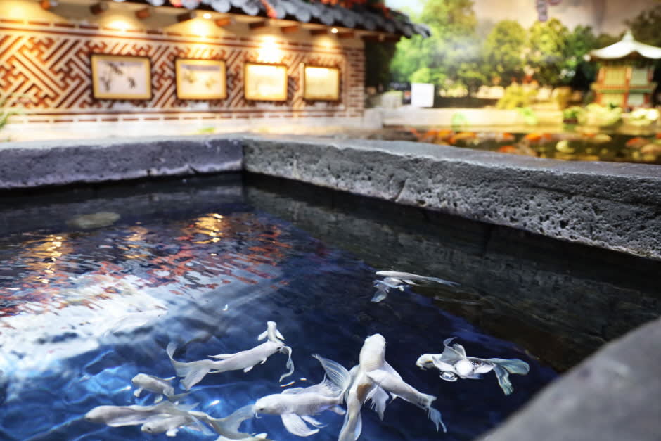 [首尔] SEA LIFE COEX, Seoul Aquarium水族馆门票