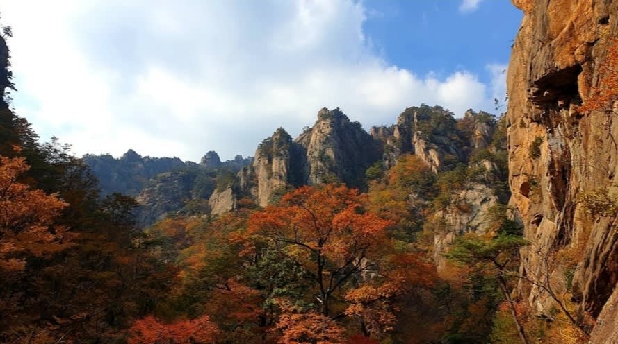 Autumn - Seoraksan National Park Maple leaves | Cable Car Day Tour