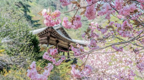 【ソウル発】雪岳山＆納仙寺 1日ツアー