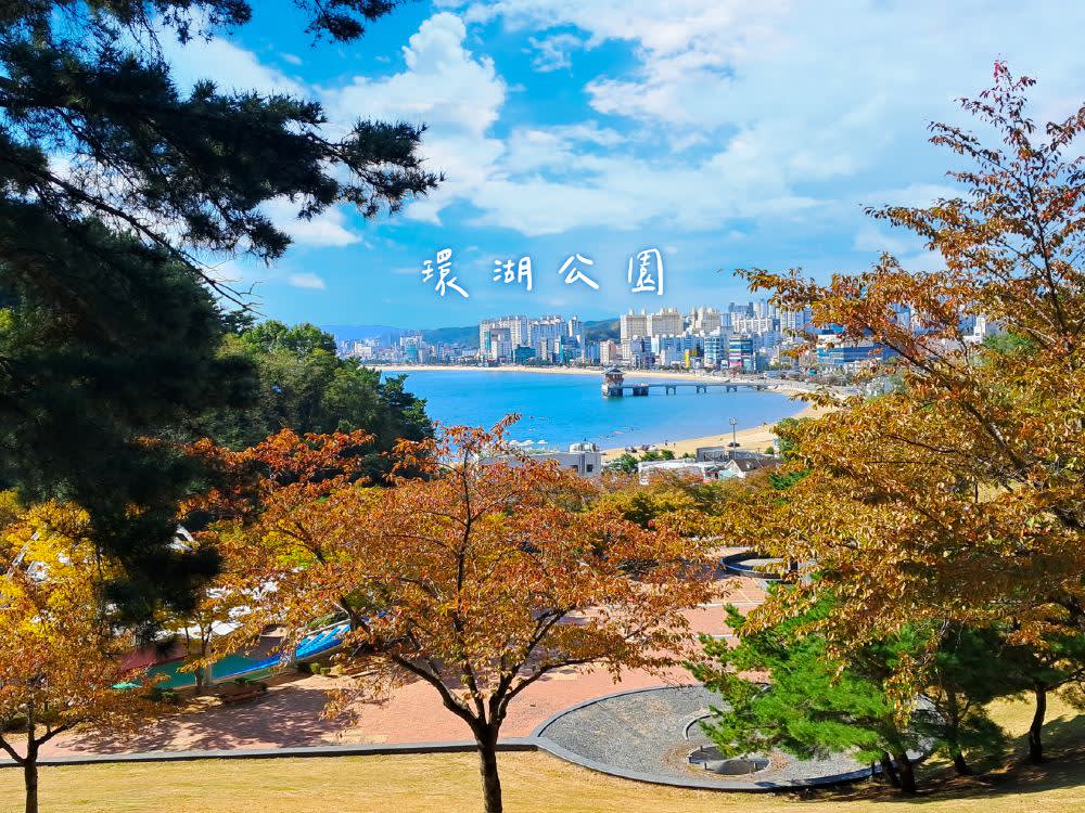 [浦項] スペースウォーク X 湖畔公園 桜鑑賞ツアー | 釜山出発