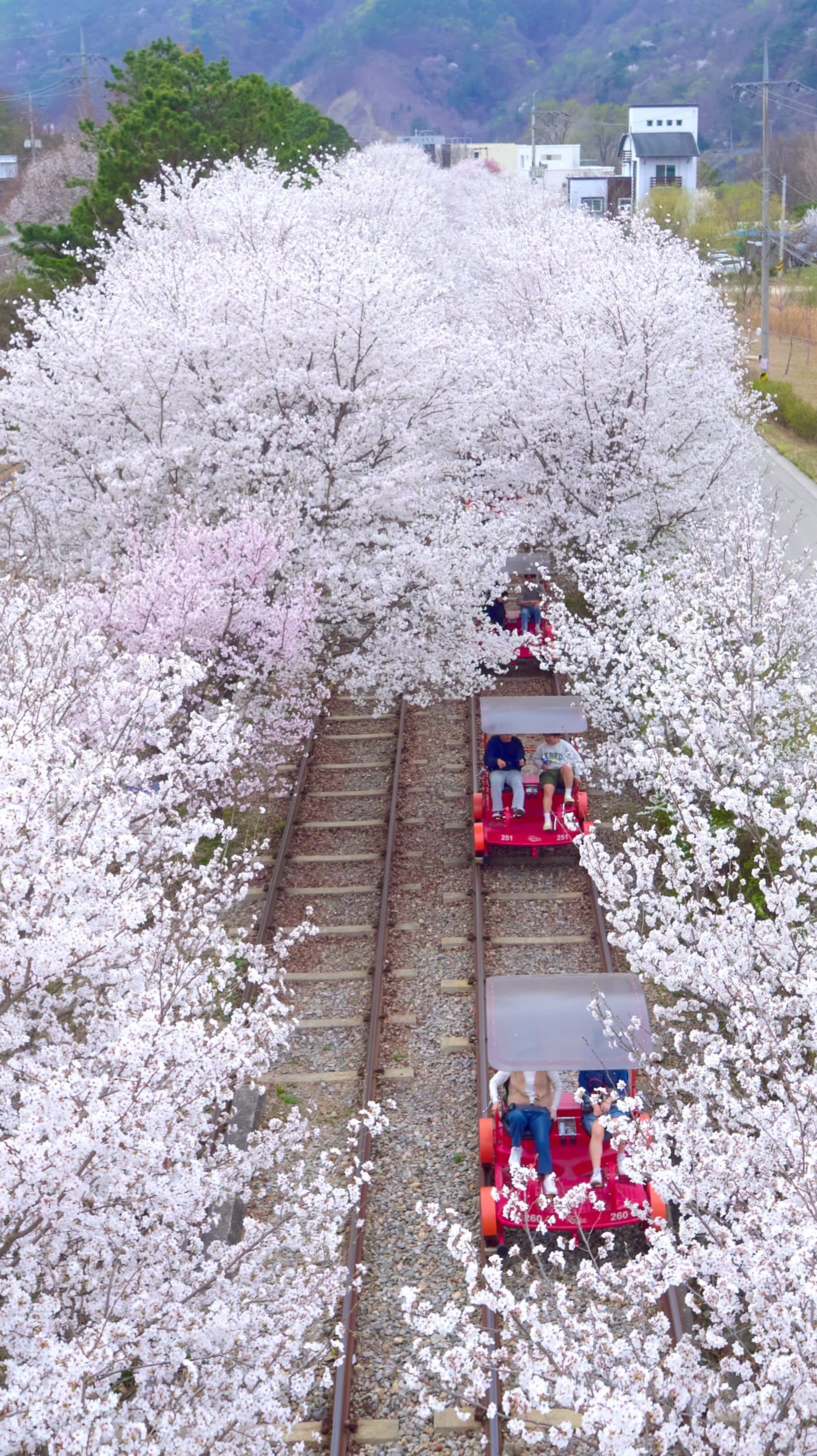 ソウルシティ·郊外カーチャートツアー