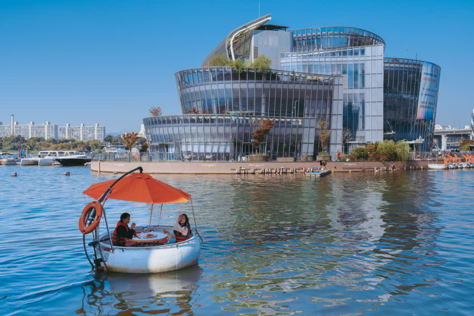 [ソウル] 漢江(ハンガン)盤浦(バンポ)セビッソムチューブスター搭乗チケット