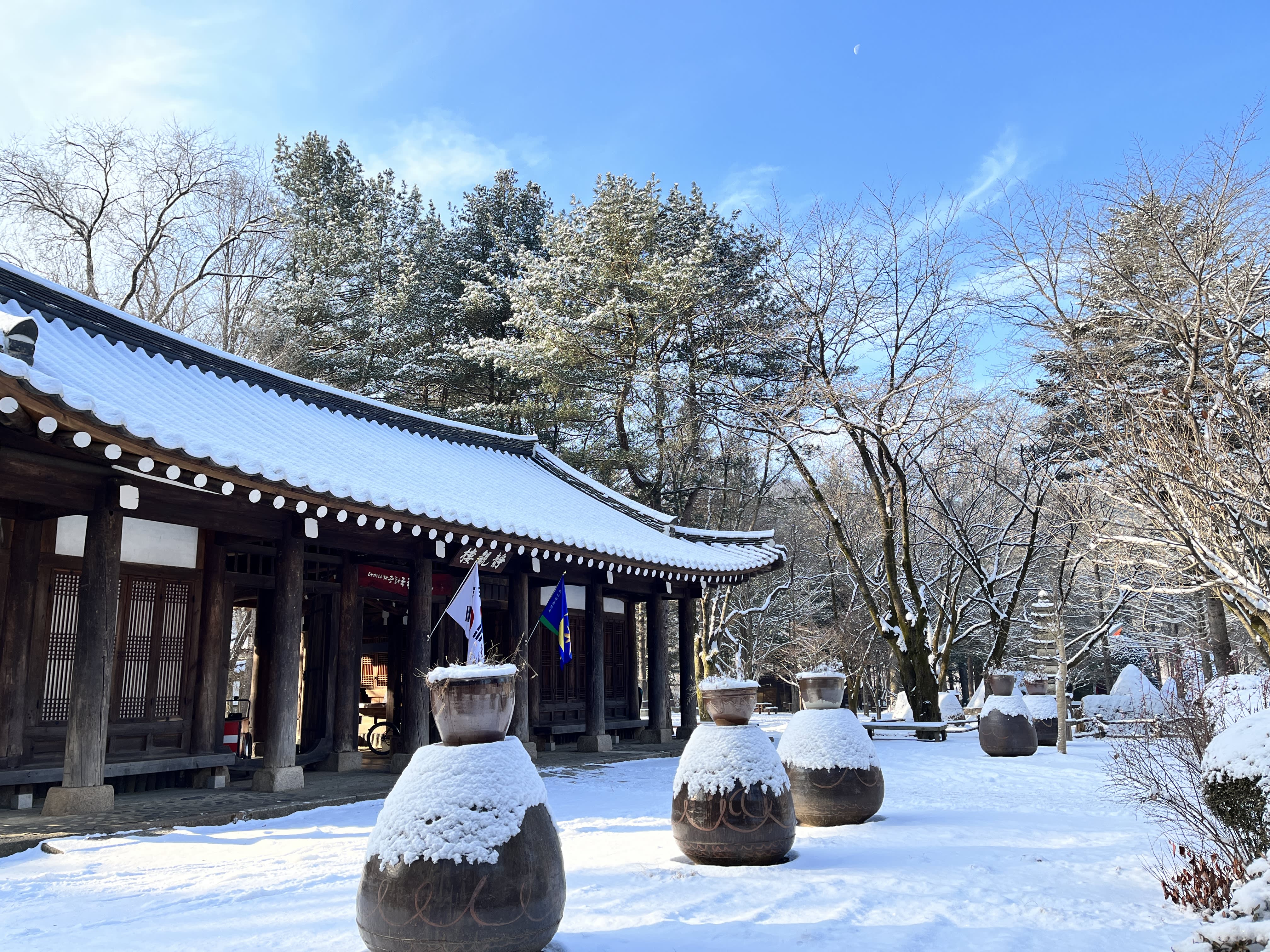 [From Seoul] Nami Island & Elysian Gangchon Winter Ski Day Tour