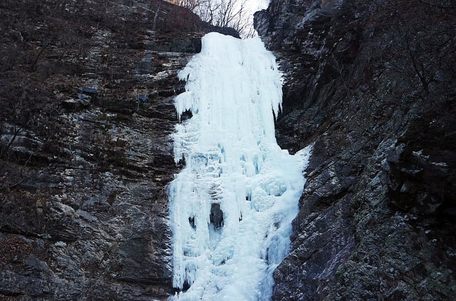 Alpaca World & Rail Bike & Chuncheon Ice Valley Waterfall Day Tour from Seoul