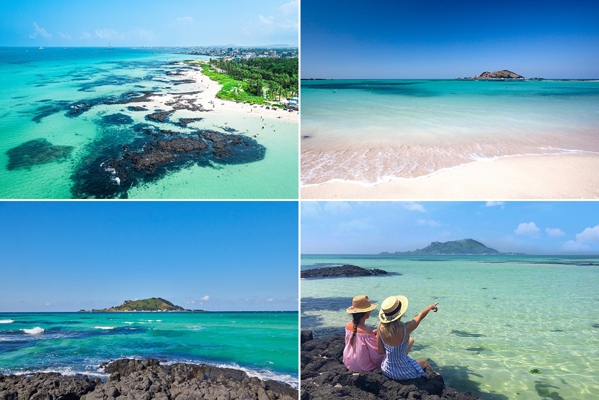 [济州] 治愈的济州岛一日游 [女性・情侣路线]