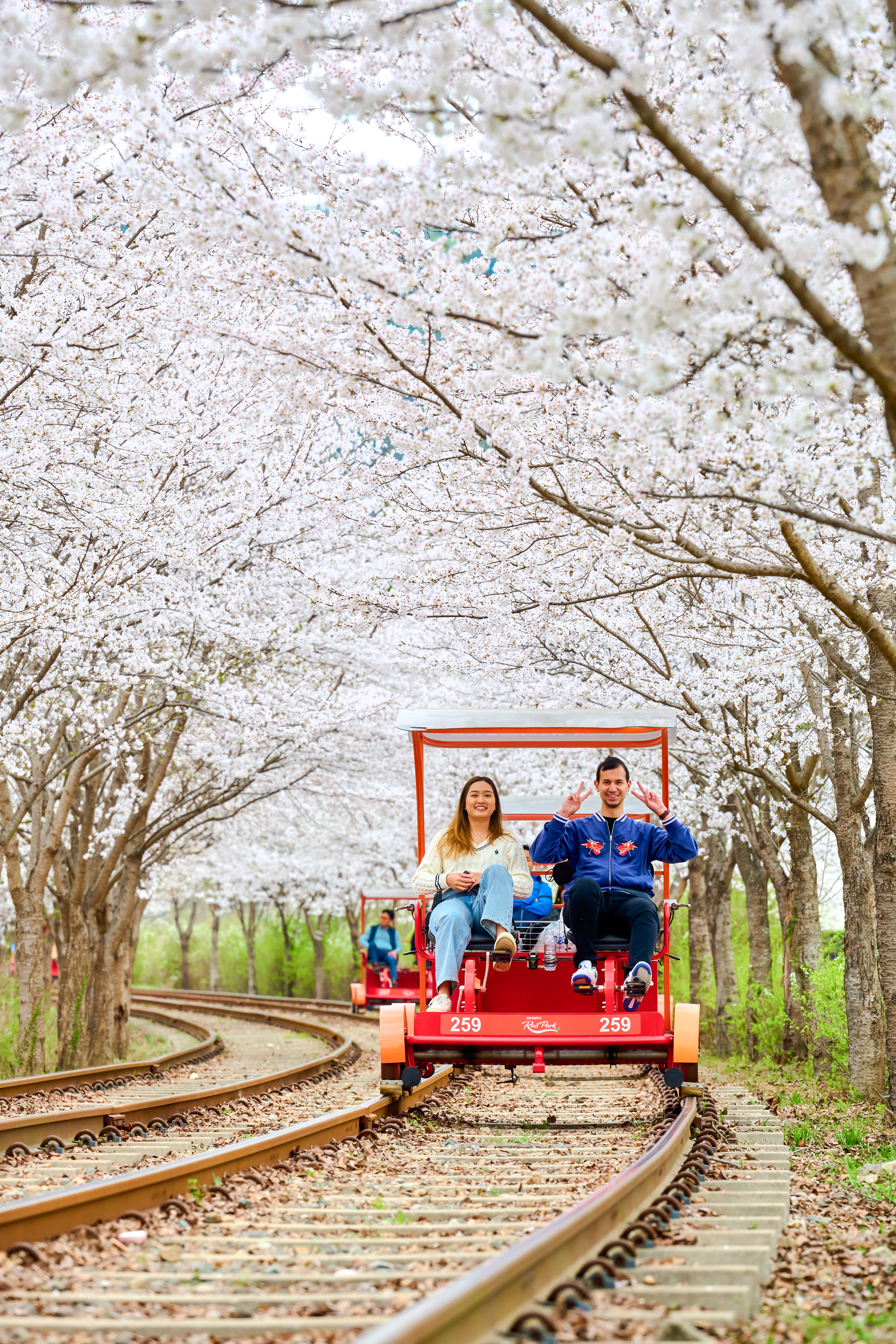 江村レールバイク 乗車チケット（加平駅）