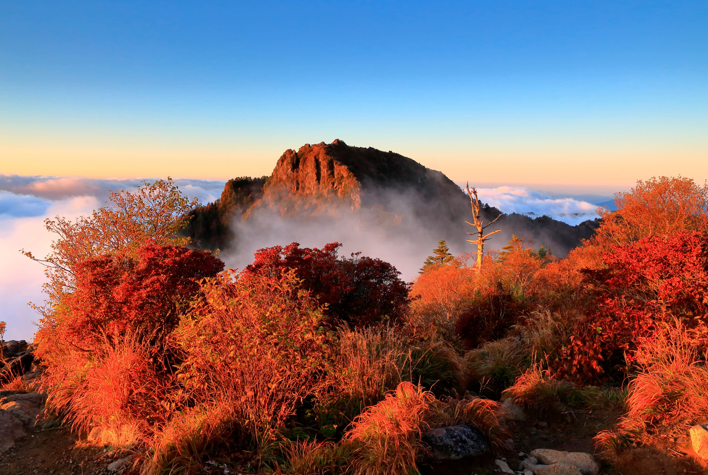 【釜山発】智異山紅葉観賞｜Baemsagol渓谷・泉隠寺日帰りツアー