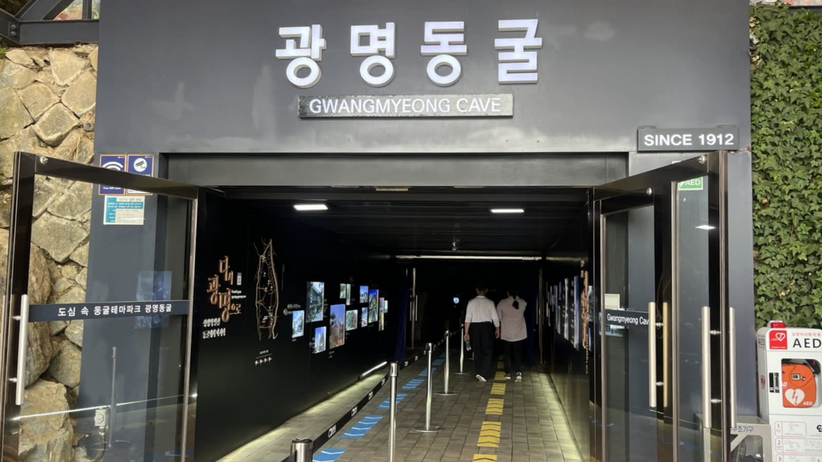 Bucheon Azalea & Cherry Blossom Festival & Gwangmyeong Cave Tour