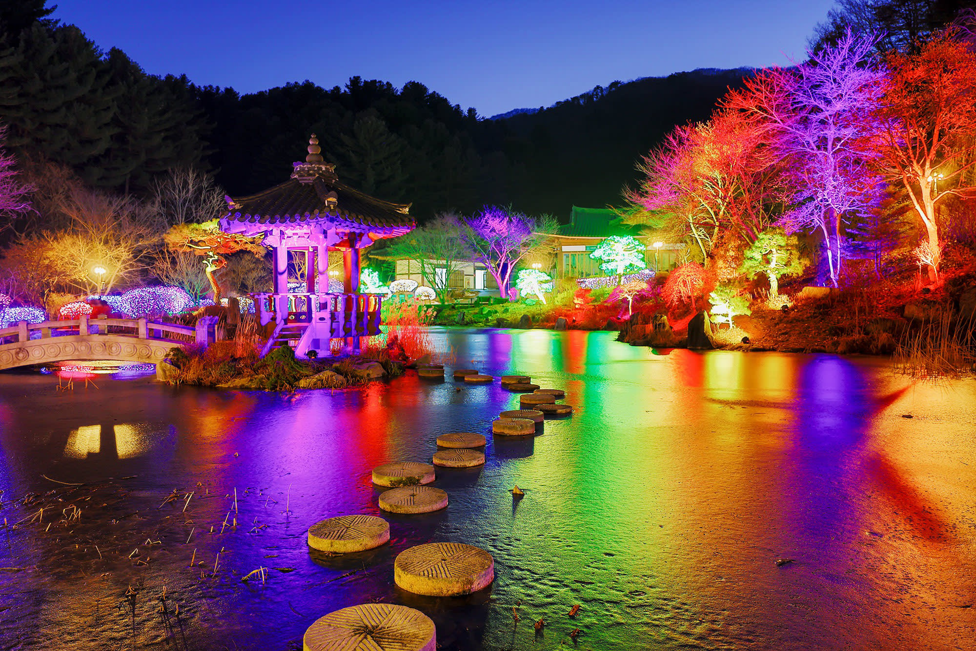 草泥马乐园 & 晨静树木园(夜灯)一日游