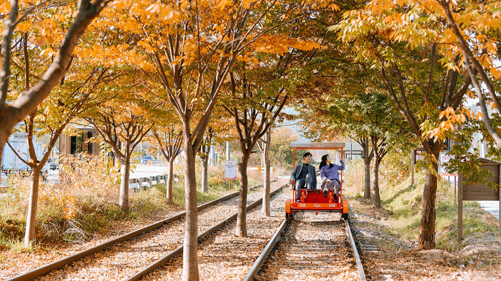  Nami Island + Rail Bike + Petite France + Italian Village + Garden of Morning Calm PrivateTour