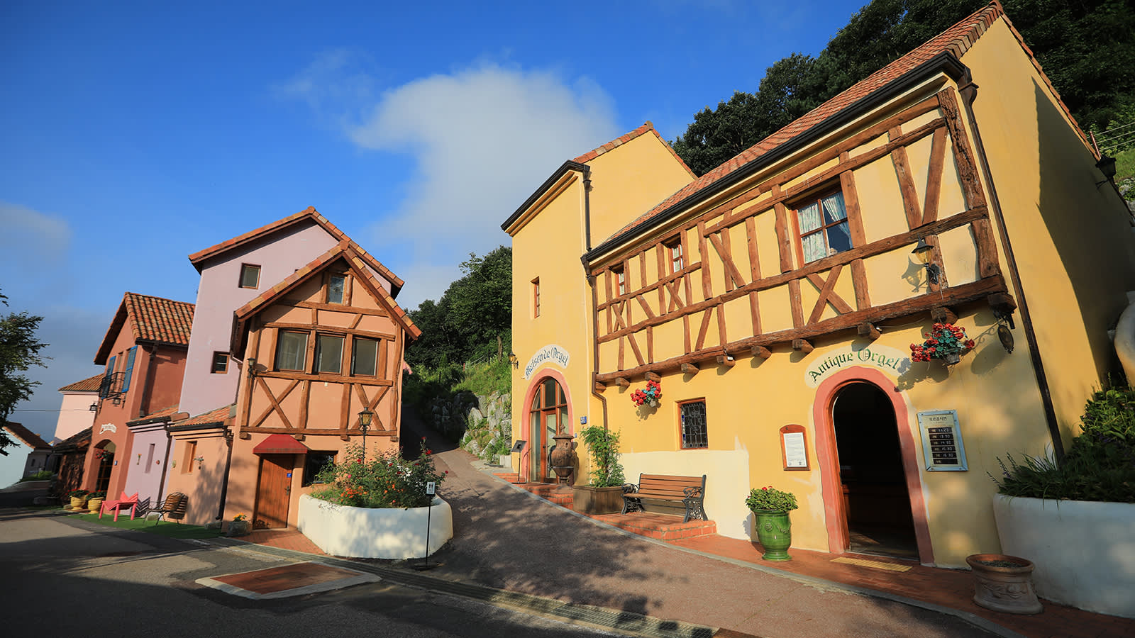 南怡岛 + 铁路自行车 + 小法国村 + 意大利村 + 晨静树木园私人游