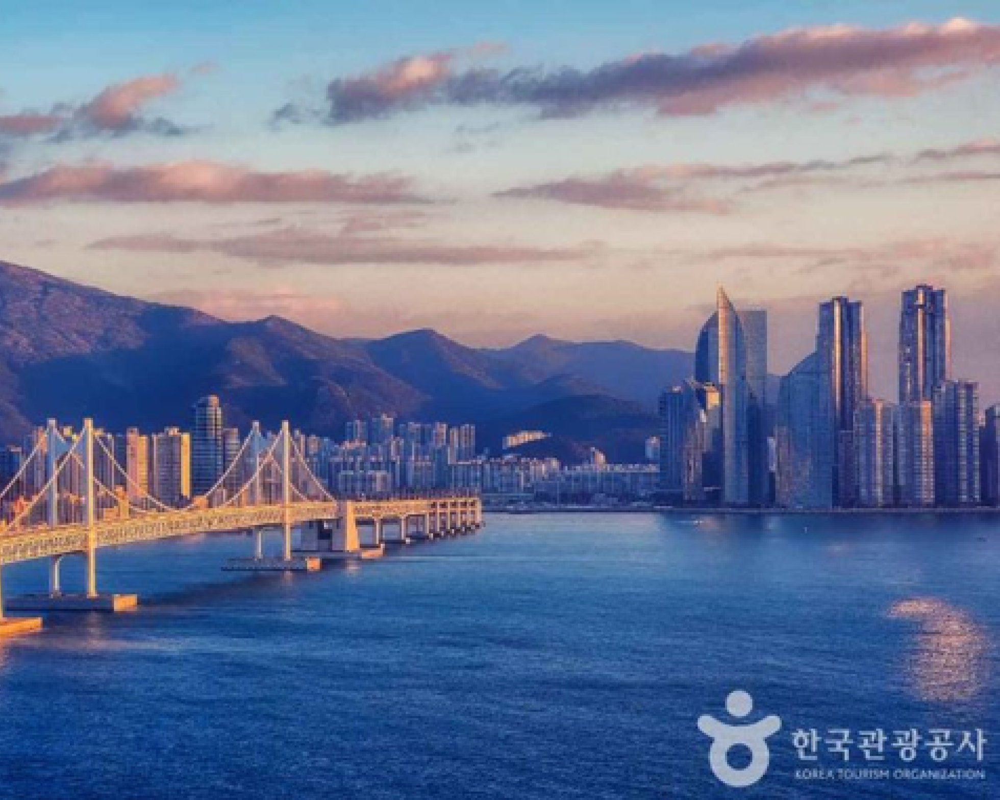Daegu Airport↔Busan (Haeundae, Gwangalli) Shared Transfer Service