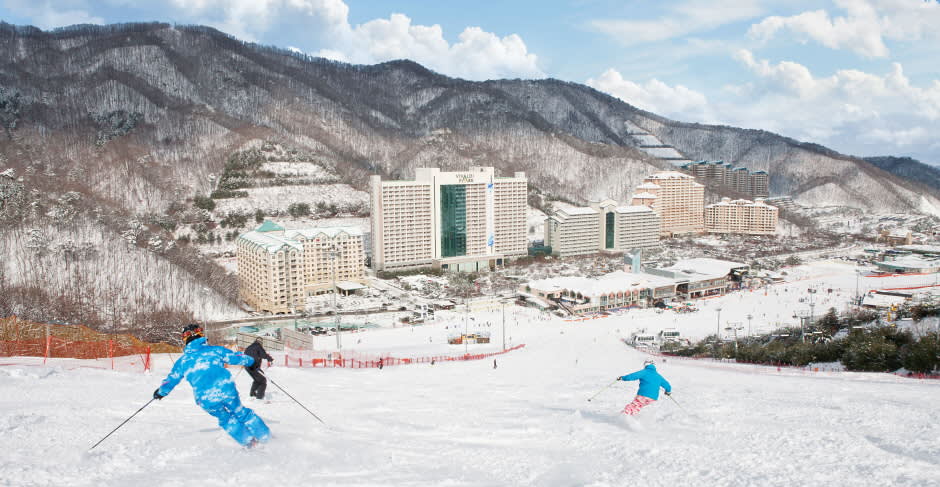 [From Seoul] Vivaldi Ski One Day Tour 