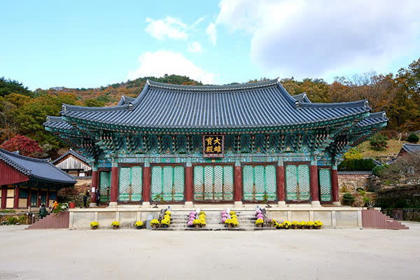 【釜山出发】韩国南道地区“顺天”热门景点一日游 “顺天湾湿地＋乐安邑城民俗村＋仙岩寺＋松广寺”
