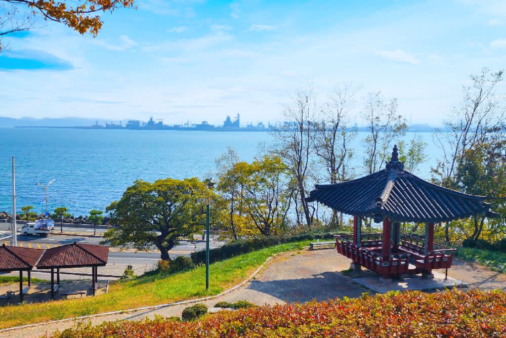 [浦項] スペースウォーク X 湖畔公園 桜鑑賞ツアー | 釜山出発