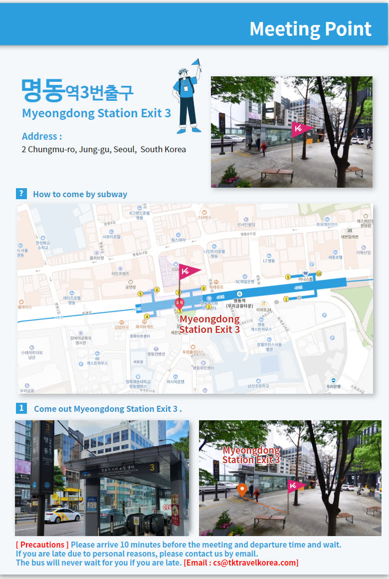 【ソウル発】鎮海 桜 日帰りツアー