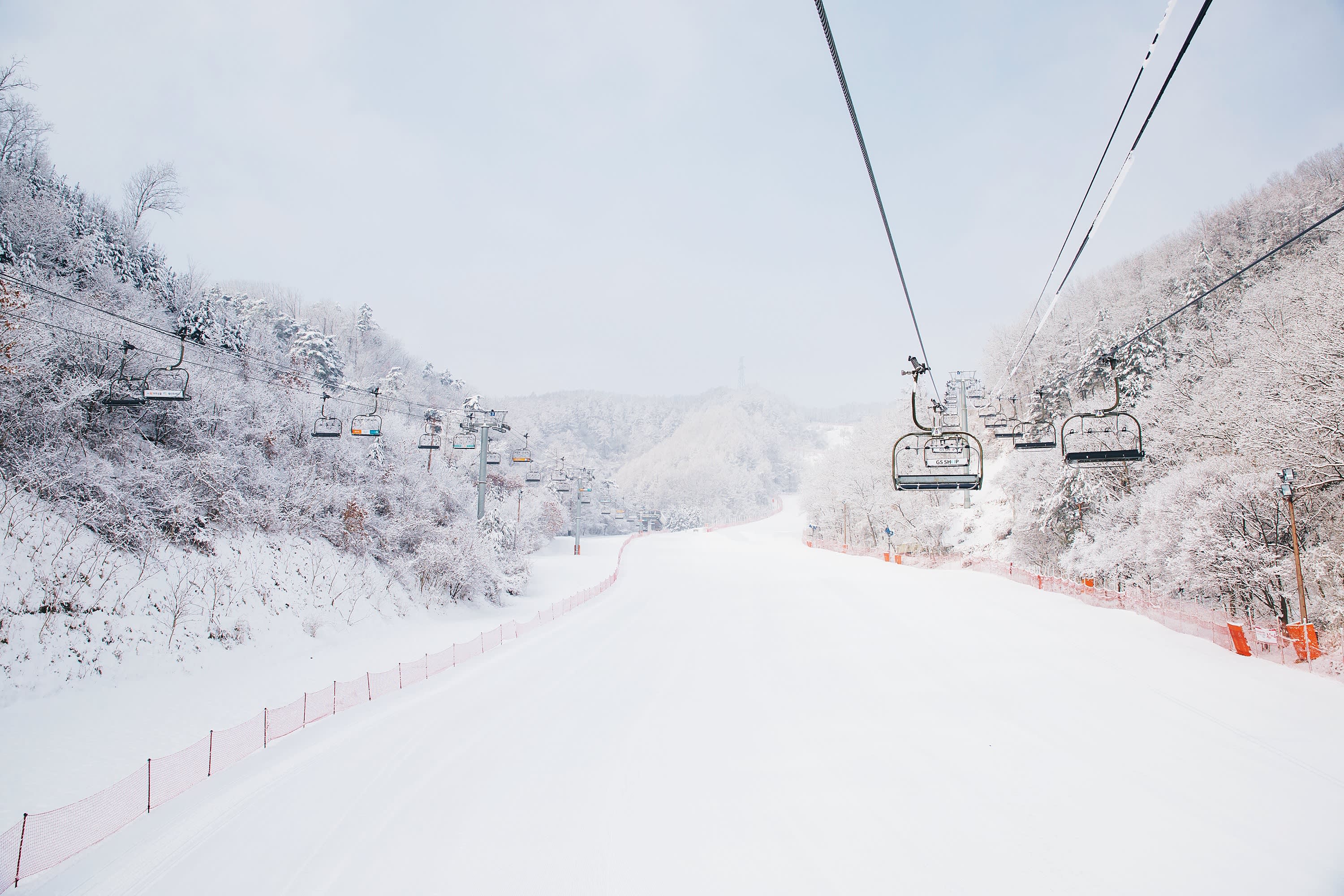 Elysian Ski Day Tour from Seoul (Snowboard Clothing + Ski gear + Basic Ski Lessons)