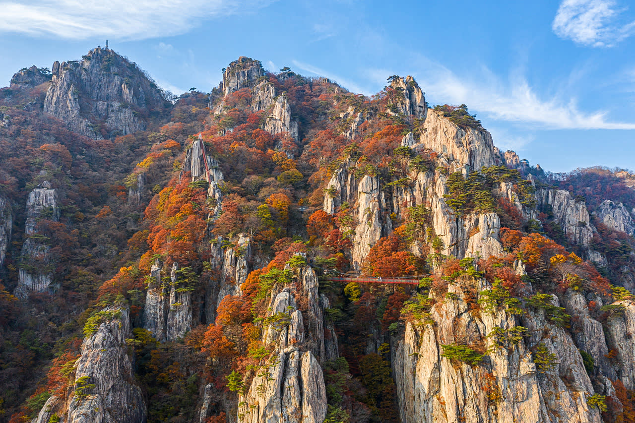 [From Seoul] Daedunsan Scenic Views & Baekje Buyeo Heritage Day Tour
