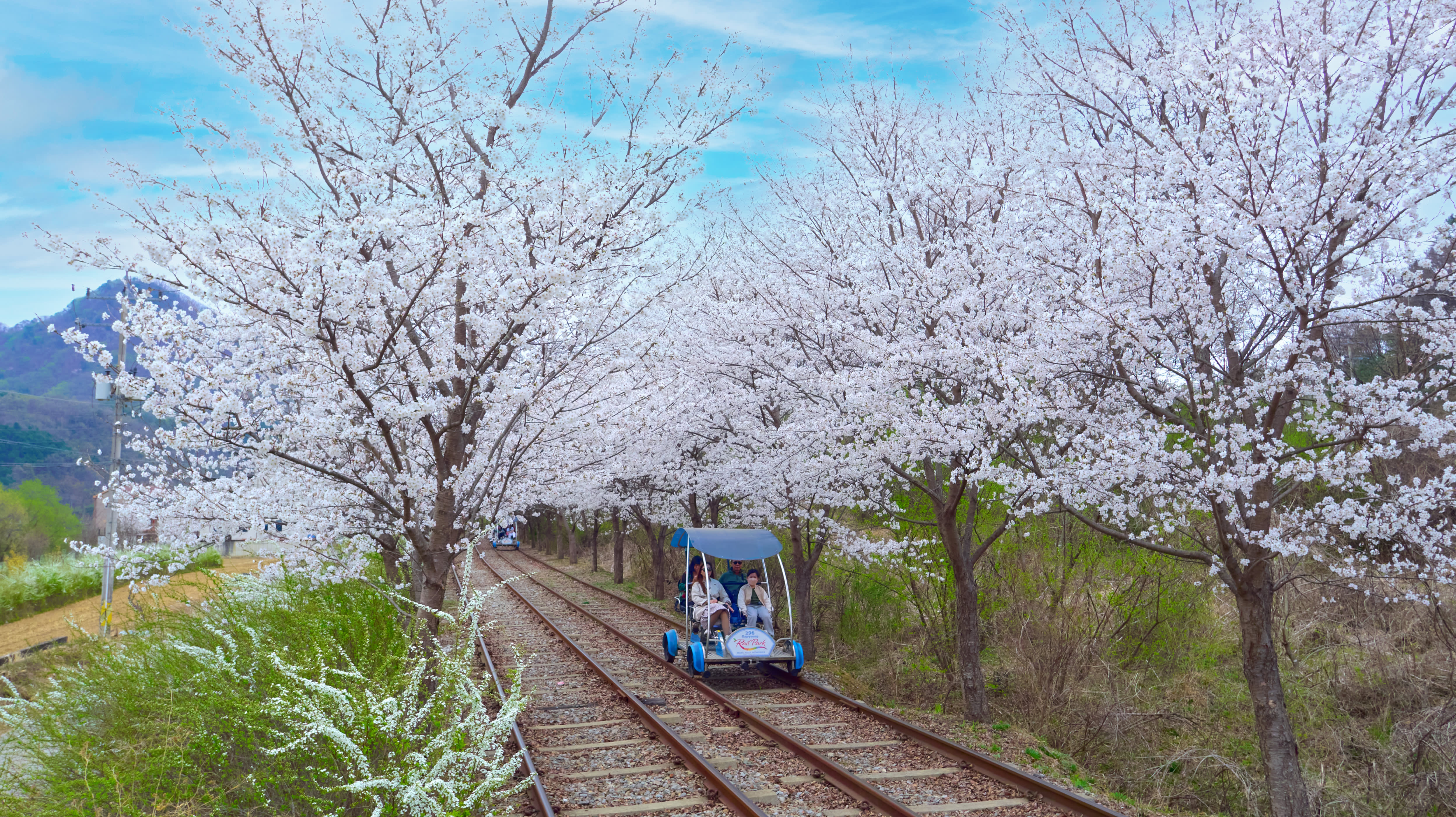 [江原道] 南怡島・プチフランス・江村レールバイク・イタリア村・アチムゴヨ樹木園 日帰りツアー