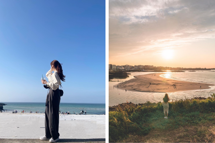 [Jeju] East Jeju Premium Limousine Bus Tour