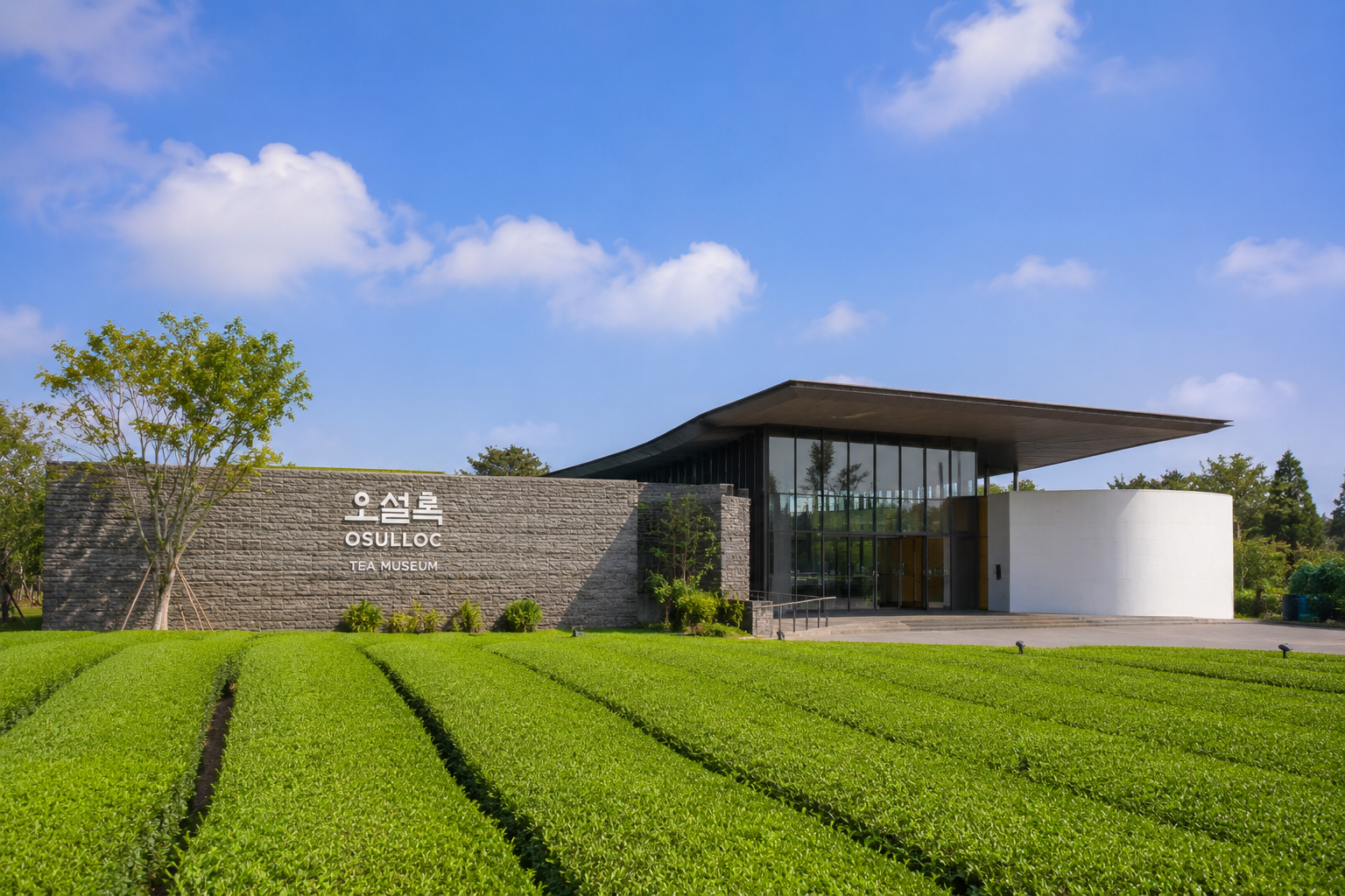 Jeju Private Taxi Tour (5,9 hour)