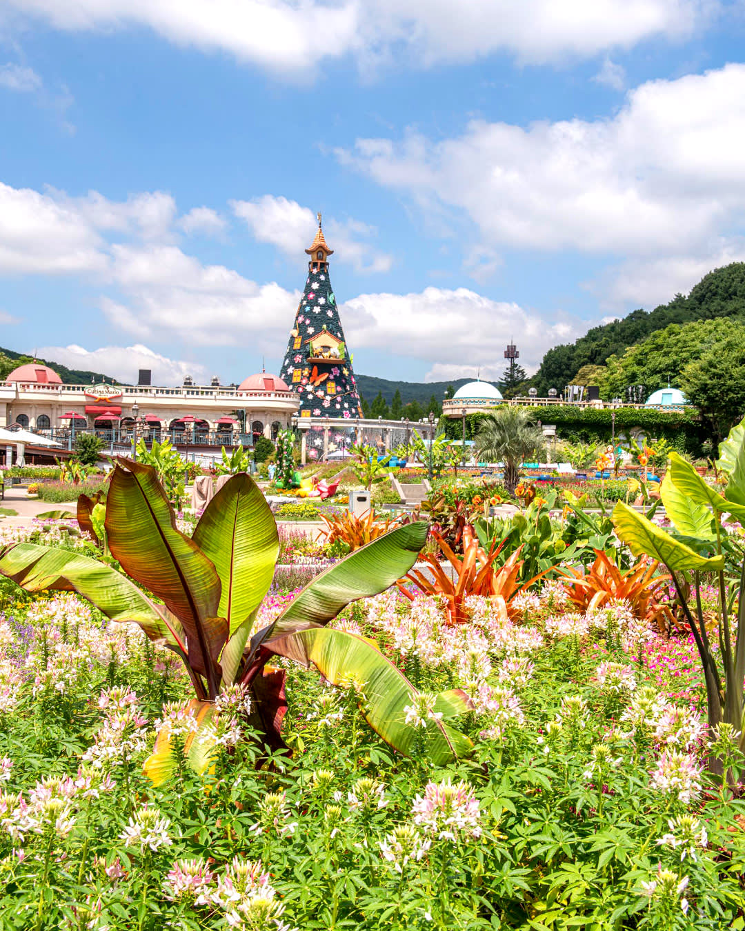 エバーランドプライベートツアー