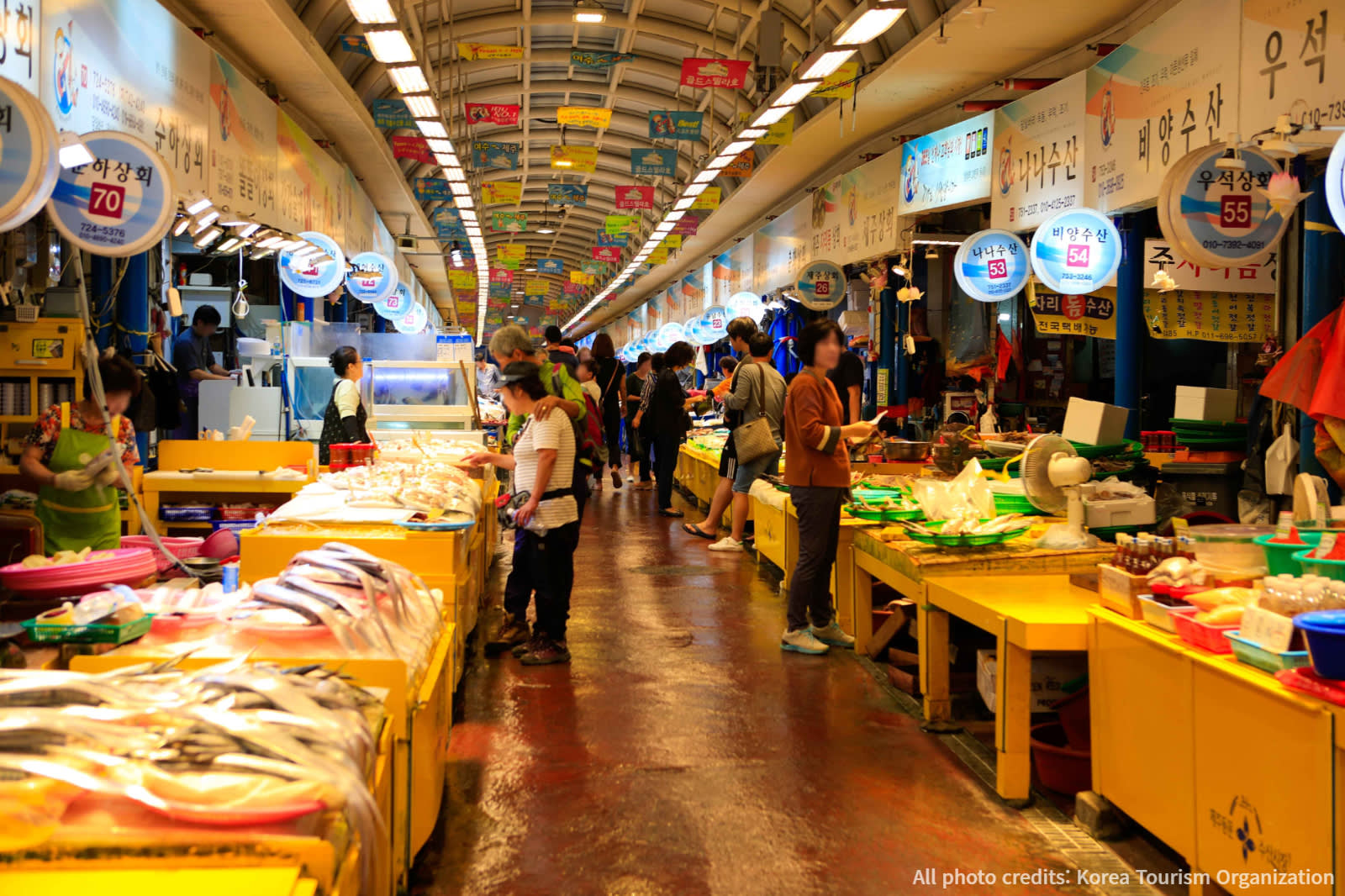 Jeju Private Taxi Tour (5,9 hour)
