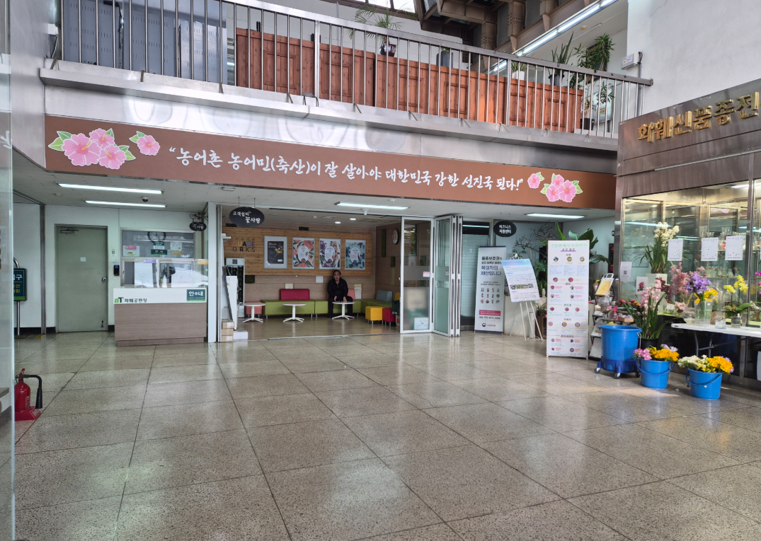 [首尔] 花市之旅+插花体验一日课程