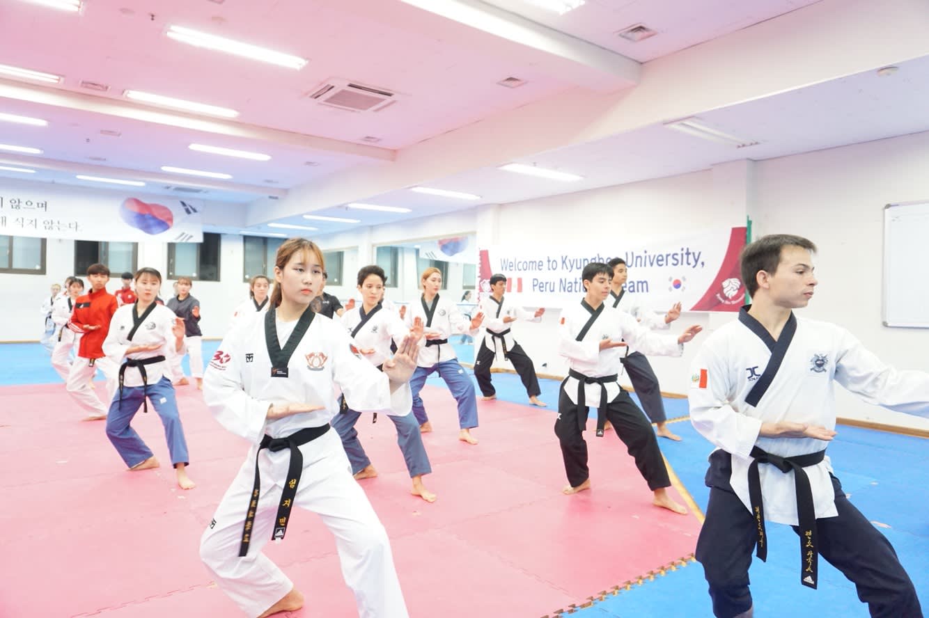 [Seoul] Korean Traditional Taekwondo One Day Class in Gangnam