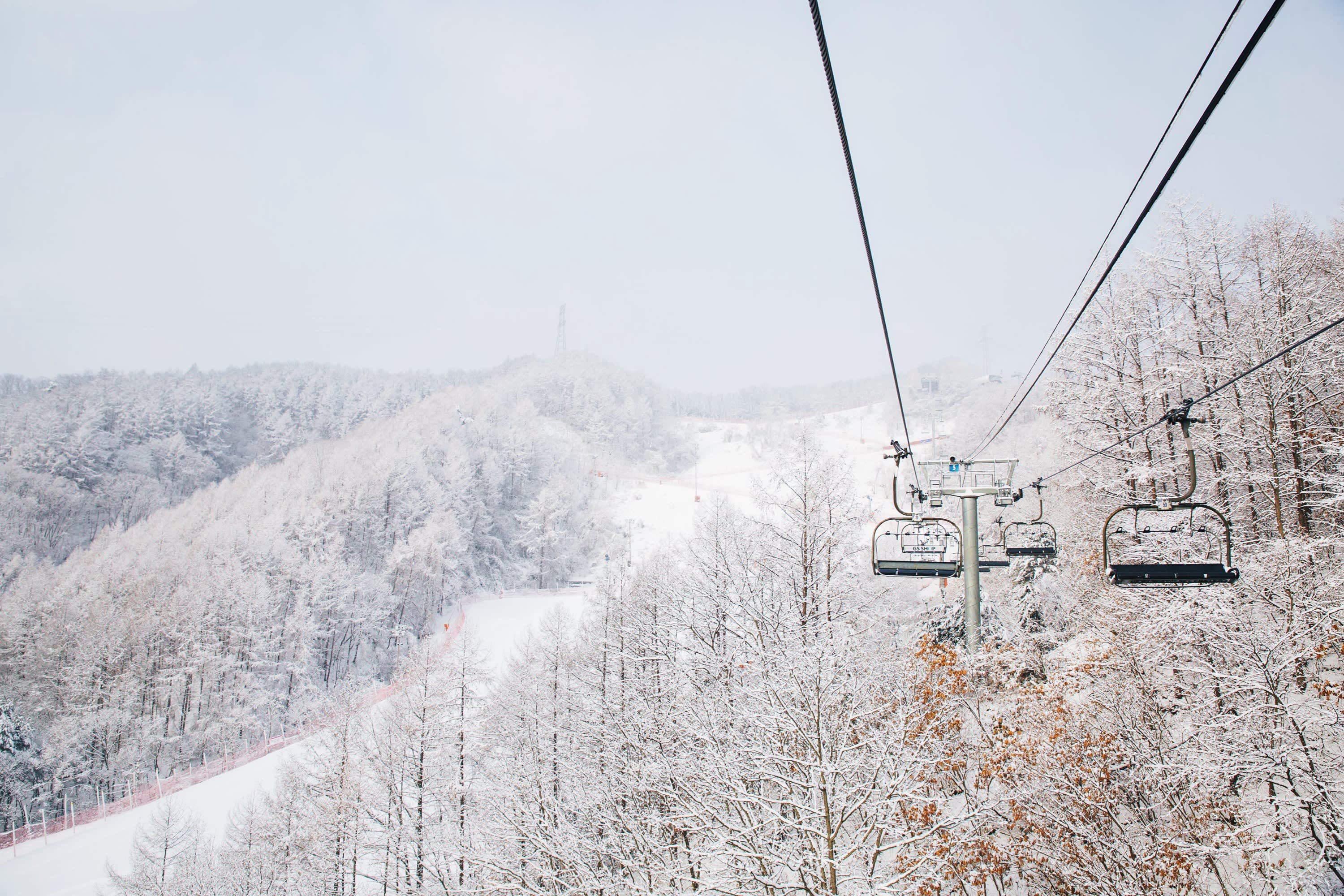 Elysian Ski 2 Days 1 Night Tour from Seoul