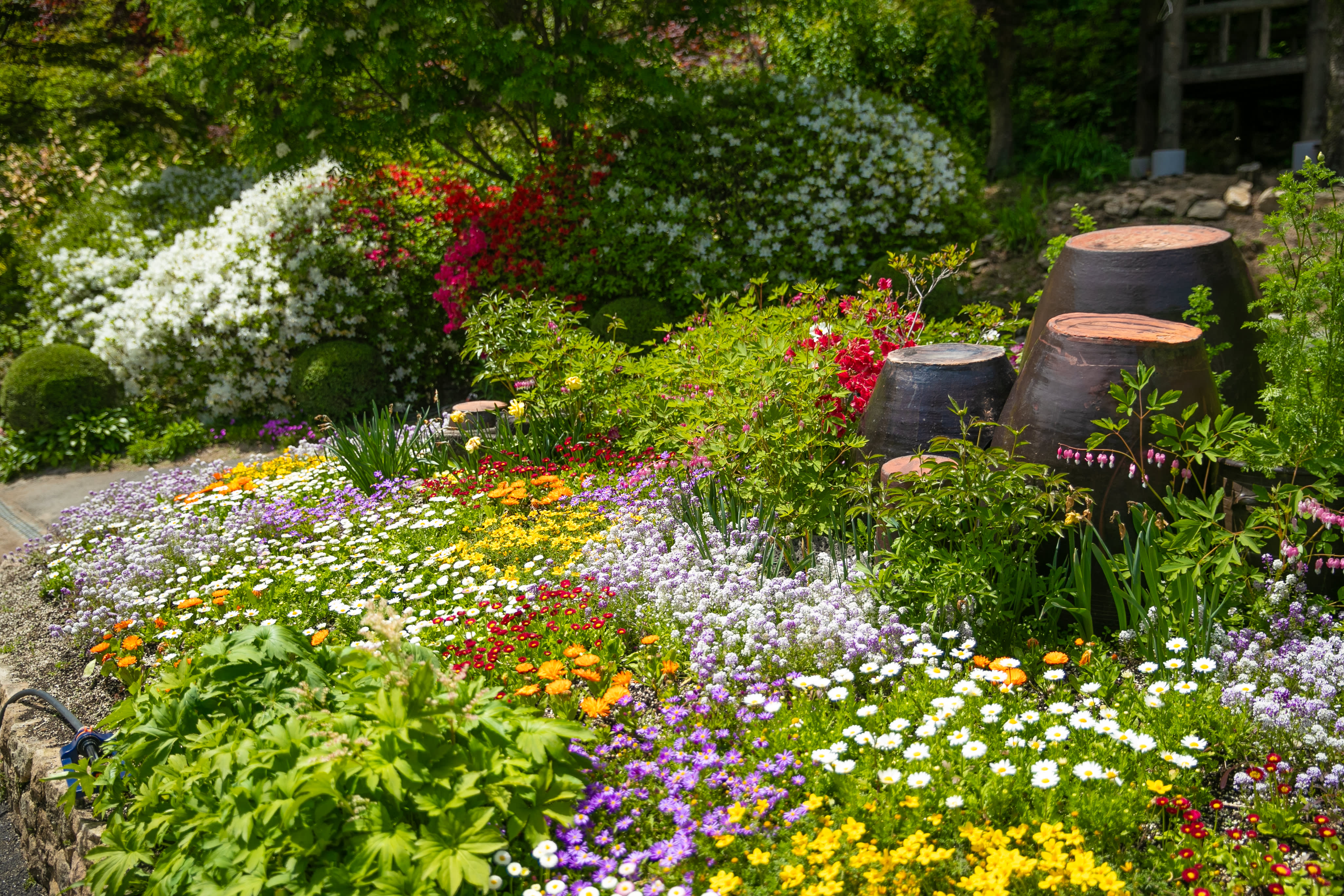 Nami Island+Petite France Or Italian Village+Gapyeong Rail Bike+Garden Of Morning Calm