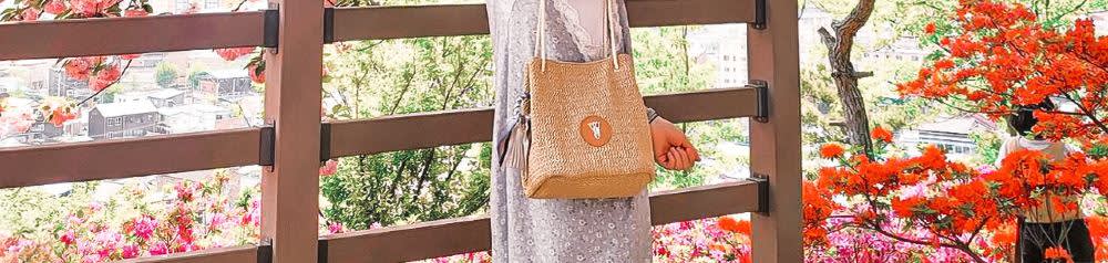 [首尔出发] 全州春季一日游（韩屋村 + 完山公园樱花 + 觉院寺）