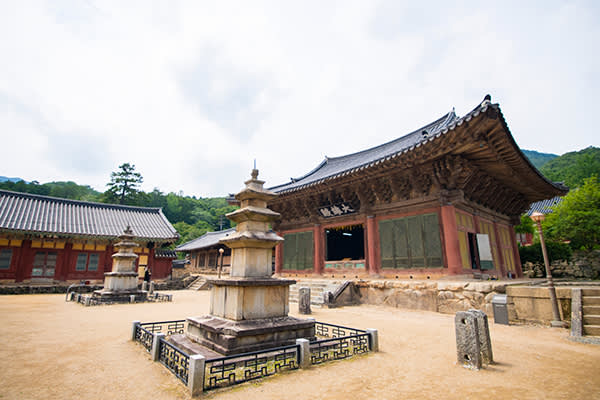 [釜山発]南道地方「順天」観光名所日帰りツアー「 順天湾湿地＋楽安邑城民俗村＋仙岩寺＋松広寺 」