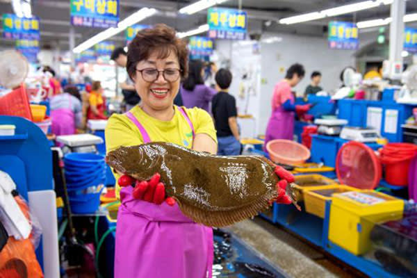 釜山グルメ「海鮮料理・刺身」＆釜山ナイトツアー