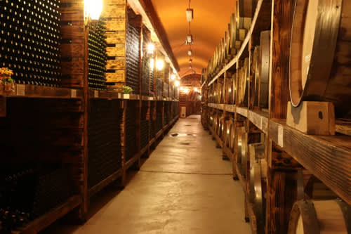 [Gyeonggi] K-DRAMA TOUR Winery + Jam Making + Create Your Own Wine, Gamaksan Suspension Bridge, Imjingak Cable Car (Crystal Cabin)