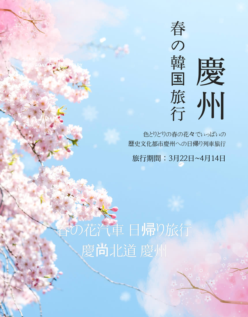 [汽車当日の旅行] 慶州へ行く春の花のお出かけ (大陵苑 春の花/ 仏国寺 桜)